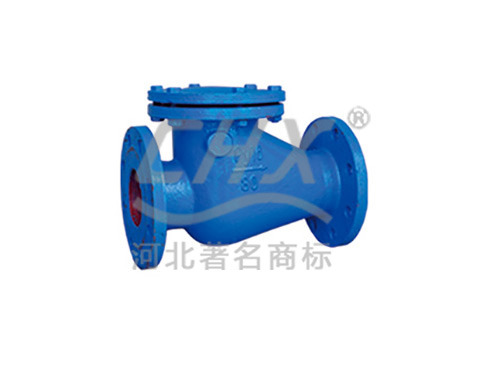 swing start check valve