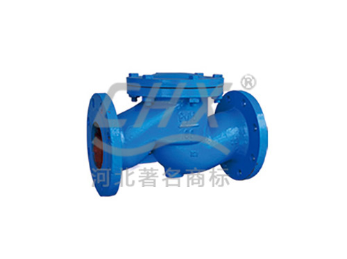 lifting check valve