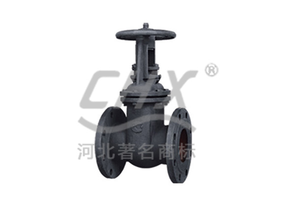 Russian standard gate valve
