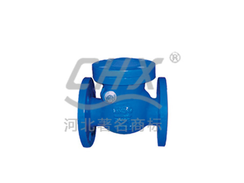 DIN swing start check valve