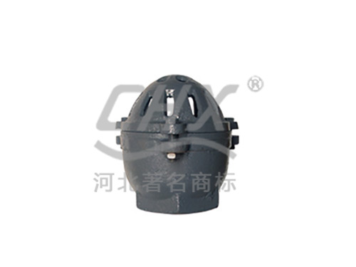 BS/ANSI Bottom valve