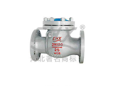 Swing start check valve