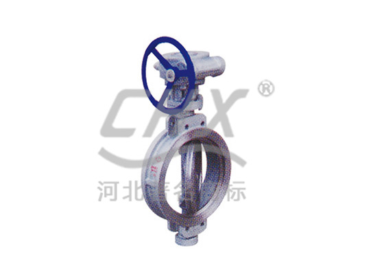 Eccentric worm gear driven butterfiy valve