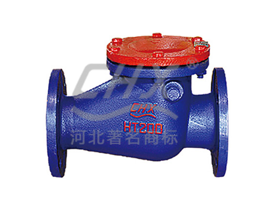 Swing start check valve