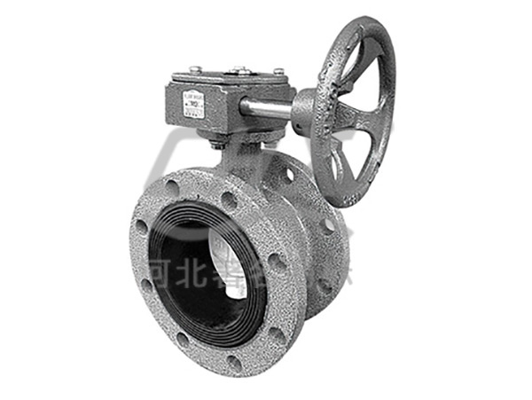 Turbine hair blue butterfly valve