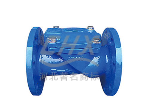 Rubber disc check valves
