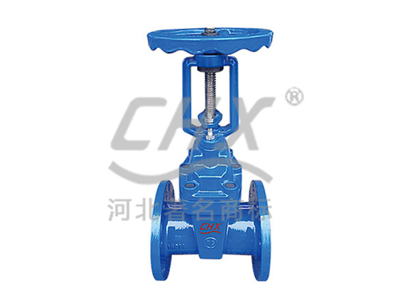 Rising stem soft-seal gate valve