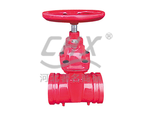 Grooved dark bal soft seal gate valve