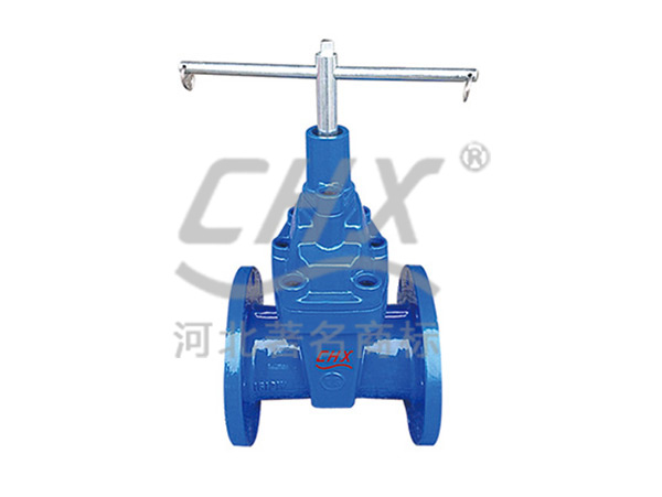 Guard against soft-seal valve