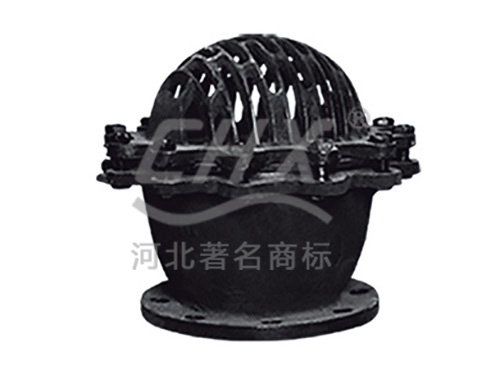 升降式底阀